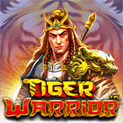 Chiến Binh Hổ game cover